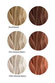 Il existe maintenant des produits colorants doux pour les cheveux, à la texture huileuse pour éviter. Coloration Poudre Bio 100 Vegetale Les Couleurs De Jeanne Ayanature