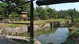 Etiologia este putin cunoscuta si se pare ca este legata de unele deficiente de structura ale coledocului terminal. Filmlocations Bayern Motivsuche Alter Kanal Ehem Ludwig Main Donau Kanal