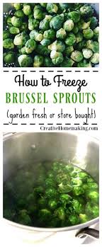 How To Freeze Brussel Sprouts Creative Homemaking