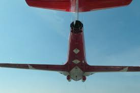 Here you find 7 meanings of the word snowbird. Riding Shotgun With The Snowbirds Skies Mag