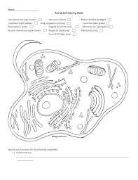 Plant and animal cells plant cell animal cell drawing biology corner cell parts exactly like you interesting topics worksheets for kids coloring pages more information. Name Animal Cell Coloring Sheet Cell Membrane Ligh Brown