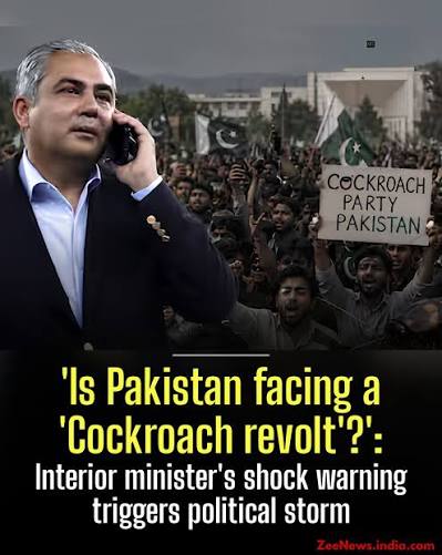 In an extremely honest assessment of Pakistan's political and economic  stability, Interior Minister Mohsin Naqvi said on Thursday that the  existing governance system in Pakistan is a complete failure and cannot  address