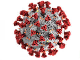 On ne sait pas si la. Pourquoi Le Nouveau Coronavirus Est Il Si Contagieux Sciences Et Avenir