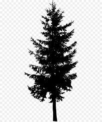 Well you're in luck, because here they come. Evergreen Tree Redwood Clip Art Png Clipart