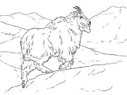 Mountain Goat Climbing A Hill Coloring Pages Color Luna Mountain Goats Climbing Mountain Goat Coloring Pages