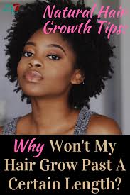 Natural Hair Growth Tips Why Won T My Hair Grow Past A Certain Length 247 Live Culture Magazine How To Grow Natural Hair Natural Hair Growth Tips Natural Hair Styles