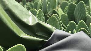 Anything Animal Leather Can Do This Plant Based Leather Can Do Better Moreover The Cactus Leather Is On Par With Genuin Save Animals Cactus Leather Industry
