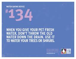 Take shorter showers, don't leave the water running while brushing your teeth, and don't water your garden. 100 Ways To Conserve Water How To Save Water Tips