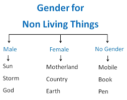 Gender For Non Living Things Objects Gender Masculine And