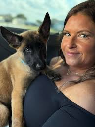 Belgian Malinois puppy behavior at 11 weeks