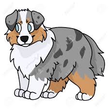 The dog clipart collection features illustrations of dog anatomy arranged into galleries. Cute Cartoon Australian Shepherd Puppy Dog Clipart Pedigree Royalty Free Cliparts Vectors And Stock Illustration Image 141297311