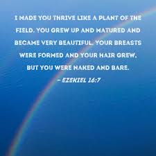 Ezekiel 16:7 I made you thrive like a plant of the field. You grew up and  matured and became very beautiful. Your breasts were formed and your hair  grew, but you were