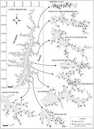 Image result for Urochloa xantholeuca