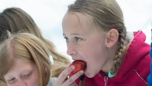 75th Annual Strawberry Festival