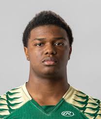 Despite short season, area athletes selected to All-Area team