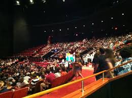 Inside Of A Theatre Picture Of La Nouba Cirque Du Soleil