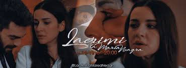 In lacrimi la marea neagra. Lacrimi La Marea Neagra Episodul 51 Din 11 Noiembrie 2019 Blogul Meu