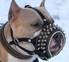 Any items already in your cart may change price. Royal Spiked Leather Dog Muzzle M61 1060 Pitbull Spiked And Studded Muzzle Dog Muzzles By Breeds Wire Basket Dog Muzzle Leather Dog Muzzles Cage Muzzles Dog Leashes