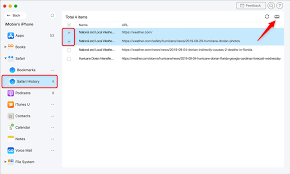 It's the blue compass icon with a red and white dial inside. How To View Icloud Safari History On Mac Or Other Device