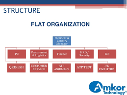 Flat Organisational Structure Flat