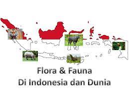 Persebaran flora berdasarkan lingkungan geografi berdasarkan kondisi iklim dan kondisi wilayah di indonesia dibagi menjadi 7 yaitu, flora hutan mangrove , hutan lumut, hutan rawa, hutan hujan tropis, hutan musim. Materi Geografi Kelas Xi Bab Ii Flora Fauna Di Indonesia Dan Dunia Info Publik News