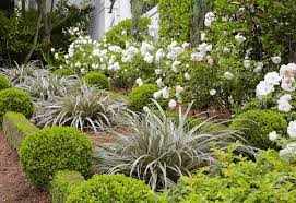 Check spelling or type a new query. 12 New Zealand Native Plants You Need To Know About Houzz Nz