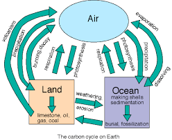 Planetary Science