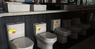 Kalau tidak kerana terlalu kotor, malah menjijikkan (di sesetengah tempat), tidak mungkin akan terpampang. Cik Puan Mimi Toilet Renovation