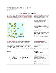 This means that it does not require extra energy input. Doc Osmosis Lecture Amoeba Sisters Nate Slonaker Academia Edu