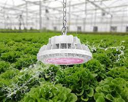 Maybe you would like to learn more about one of these? Ten Tips Of Using Led Grow Light We Should Care About Agc Lighting