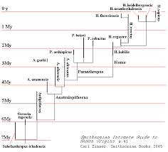 Human Genetics Chart Genetic Distance And Language