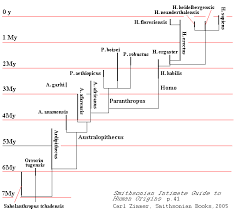 human genetics chart genetic distance and language