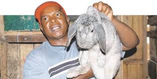 Check spelling or type a new query. Rabbit Farming 3 Amazing Success Stories And Everything You Need To Know About This Lucrative Business Smallstarter Africa