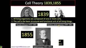 Difference Between Cell Theory And Modern Cell Theory In 2020 Cell Theory Theories Cell