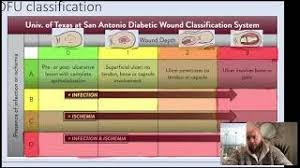 Image result for IDSA Diabetic Foot Wound Classification
