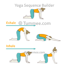 And here's how to do each one: Cat Cow Child Pose Flow Yoga Bitilasana Marjaryasana Balasana Vinyasa Yoga Sequences Benefits Variations And Sanskrit Pronunciation Tummee Com