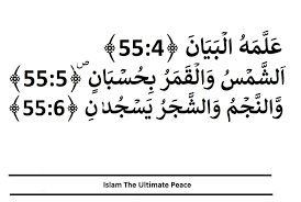 بِسْمِ ٱللَّهِ ٱلرَّحْمَٰنِ ٱلرَّحِيمِ ٱلرَّحْمَٰنُ. Surah Ar Rahman Verse 4 6 Islamic Quotes Verses Quotes