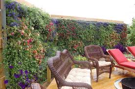 Hedge screening plants from the group of the evergreen or blooming shrubs usually grow up to 1.8m (6ft) height. 26 Diy Garden Privacy Ideas That Are Affordable Incredible Balcony Garden Web