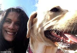 American XL Bully dog weighing 8 stone 3lbs killed his 7 stone 12lbs dog  walker, inquest hears