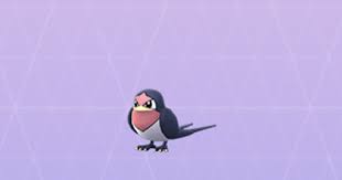 Pokemon Go Taillow Stats Best Moveset Max Cp