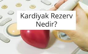 Kardiyak Rezerv Nedir Gercekler Egitim Universite