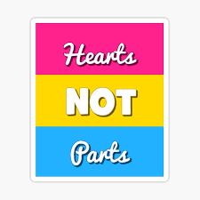 It really opens up who you find yourself compatible and attracted to. Pansexual Colors Gifts Merchandise Redbubble