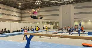 In 2014, larisa iordache came closer than anyone to beating simone biles. Jocurile Olimpice Tokyo Larisa Iordache Are Probleme La GleznÄƒ È™i RenunÈ›Äƒ La Concursul Individual Compus Digi24