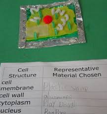 Model Plant Cell Elementary Science Science Cells Fourth Grade Science