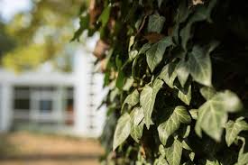 Rhenus freight logistics 25 km. Unser Haus Ver Di