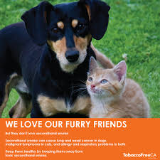 Secondhand smoke (also called environmental tobacco smoke , involuntary smoke, and passive smoke) is the combination of tobacco smoke and exhaled. Secondhand Smoke Ncpc