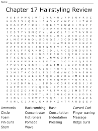 Chapter 17 Hairstyling Review Word Search - WordMint