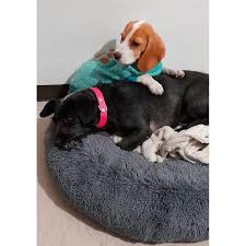 Gala, Tamara, Boss & Miel (@cuatrodogs) • Instagram photos and videos