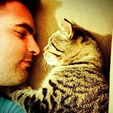 Kedi Ve Kopekleri Kisirlastirmak Istemeyen Insanlarin Savundugu 14 Sebep Onedio Com