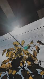 Maybe you would like to learn more about one of these? Pin Oleh Sakinah Sulaiman Umar Di Mentahan Latar Belakang Fotografi Alam Fotografi Abstrak